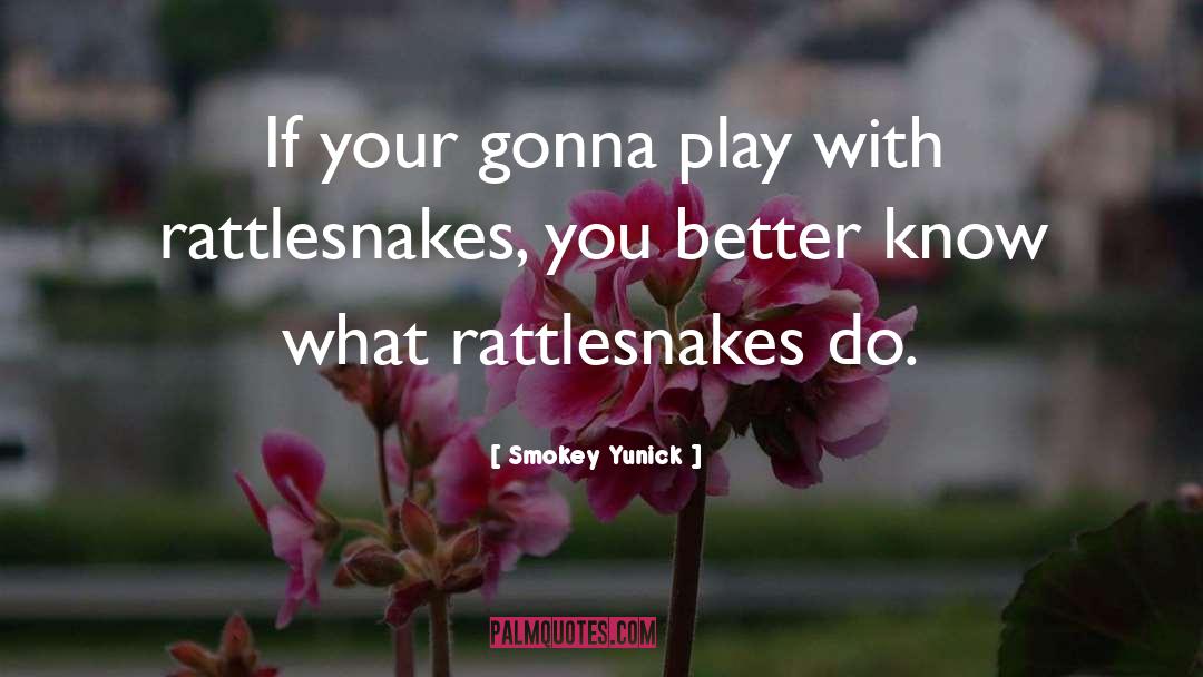 Smokey Yunick Quotes: If your gonna play with
