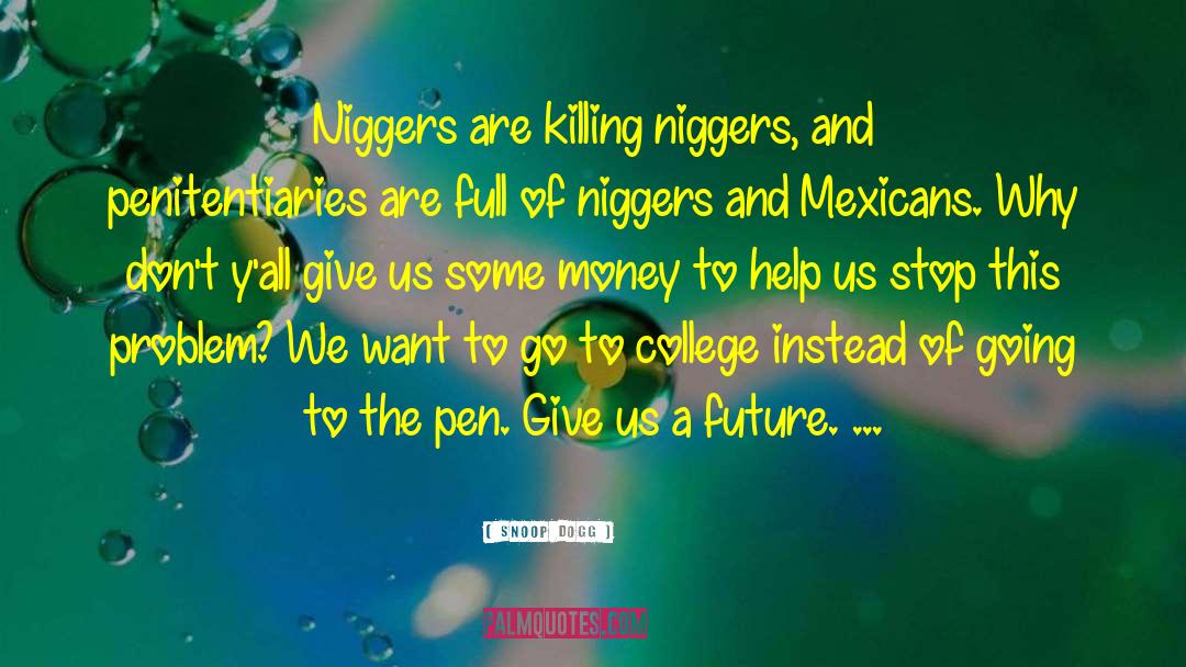 Snoop Dogg Quotes: Niggers are killing niggers, and