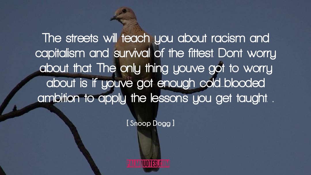 Snoop Dogg Quotes: The streets will teach you