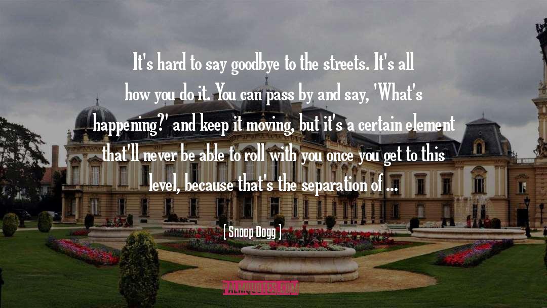 Snoop Dogg Quotes: It's hard to say goodbye