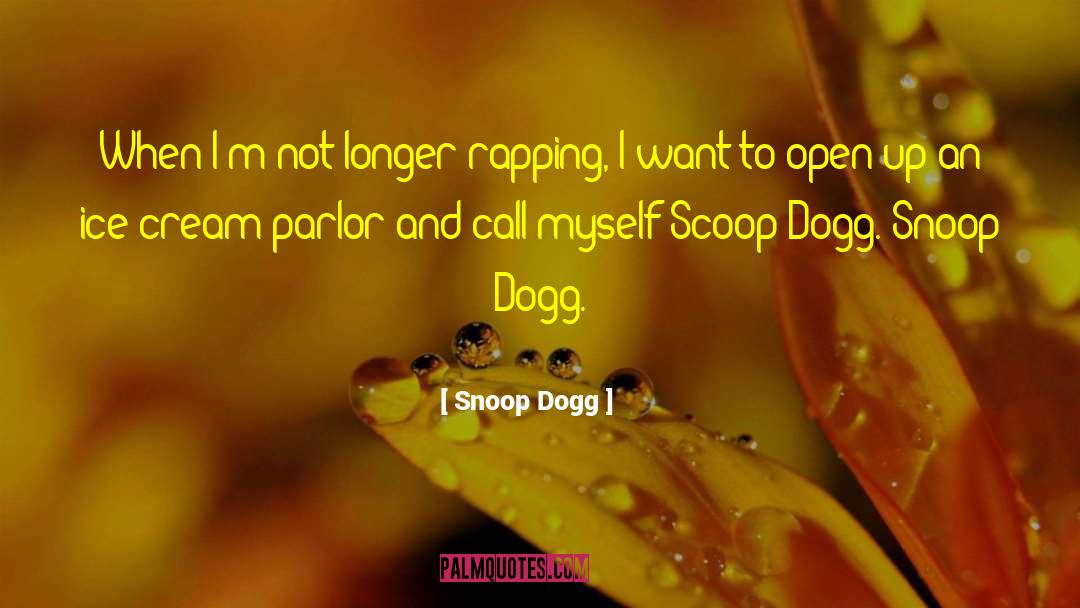 Snoop Dogg Quotes: When I'm not longer rapping,
