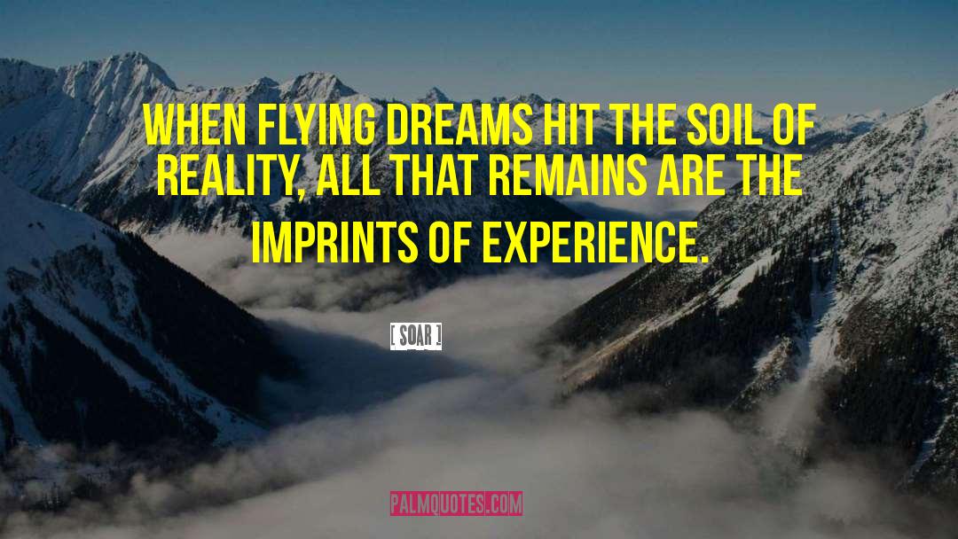 Soar Quotes: When flying dreams hit the