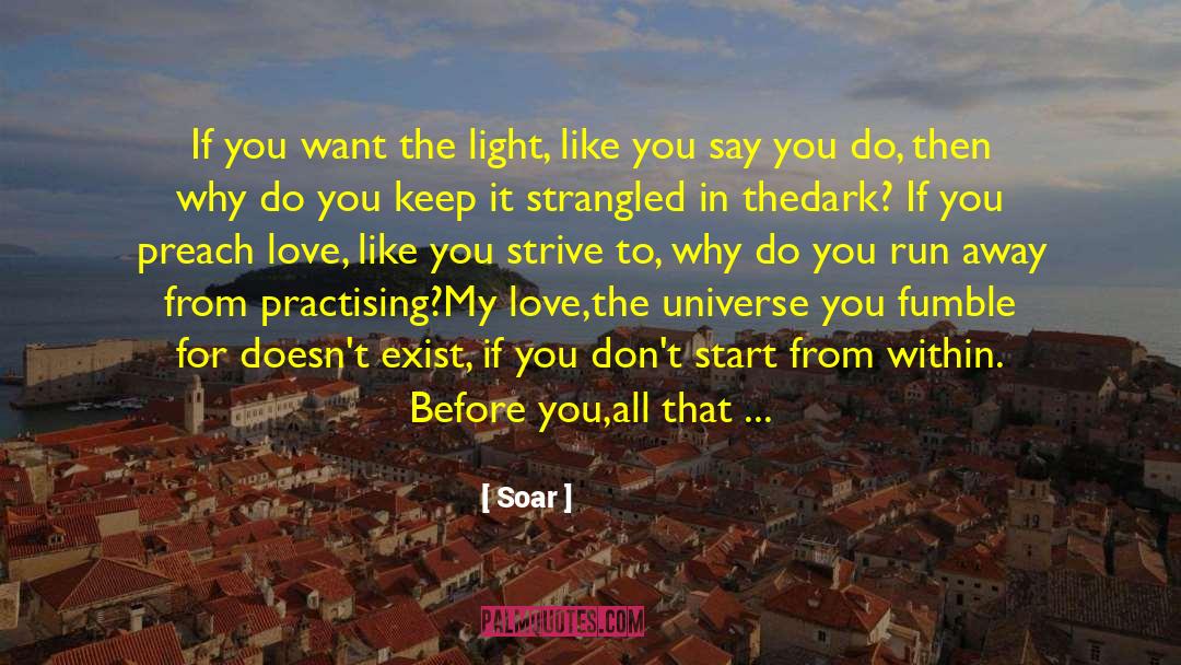 Soar Quotes: If you want the light,