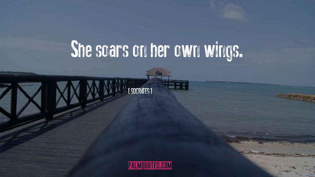 Socrates Quotes: She soars on her own