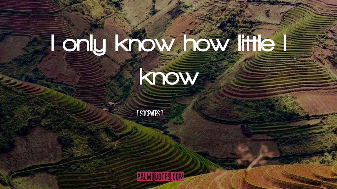 Socrates Quotes: I only know how little