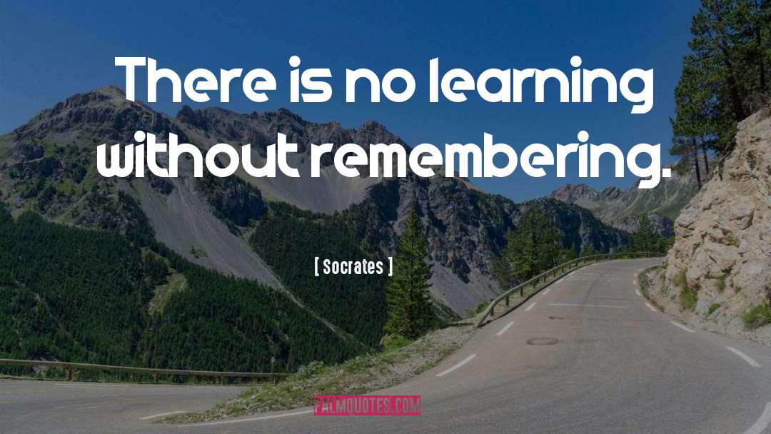 Socrates Quotes: There is no learning without