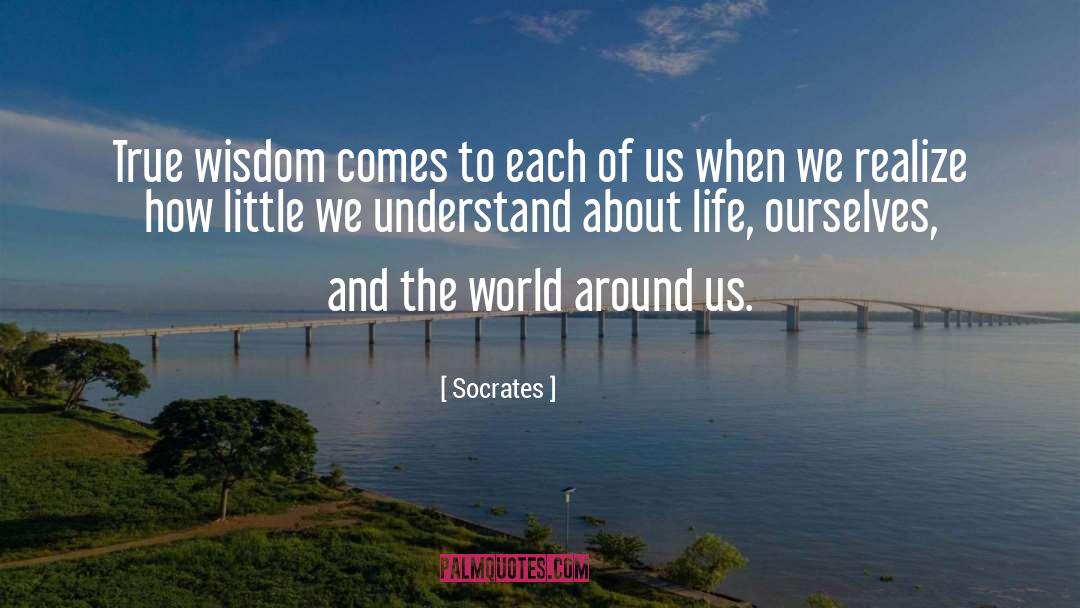 Socrates Quotes: True wisdom comes to each
