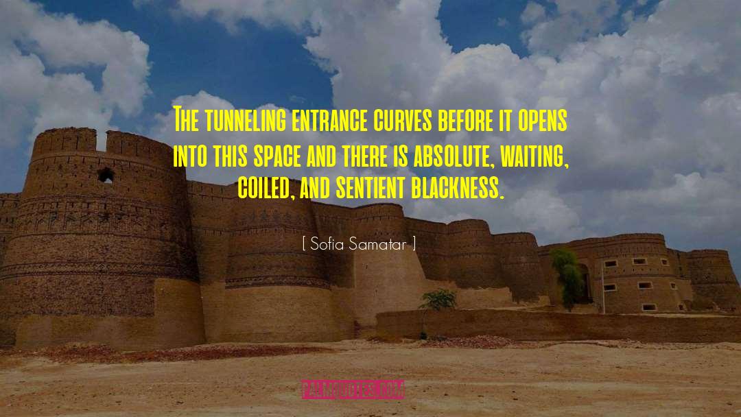 Sofia Samatar Quotes: The tunneling entrance curves before
