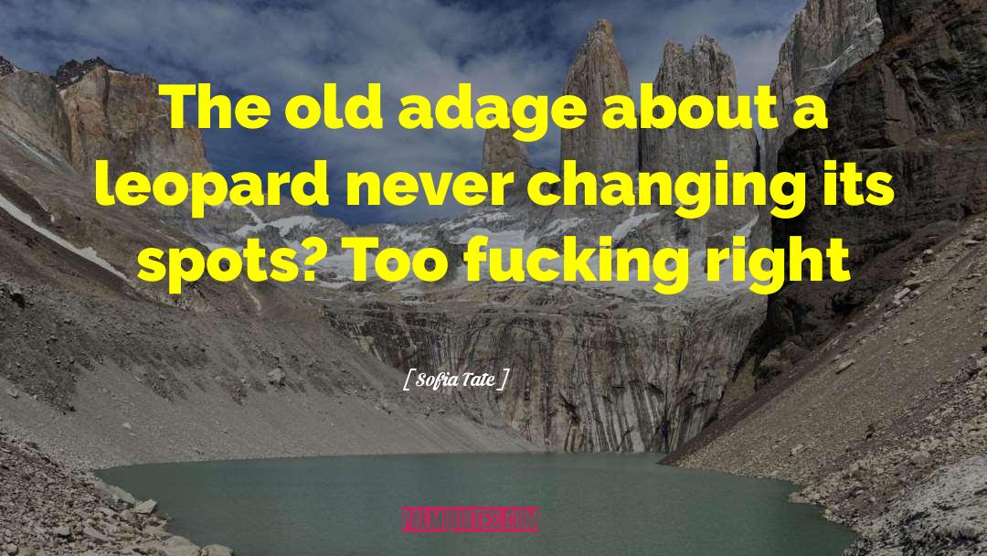 Sofia Tate Quotes: The old adage about a