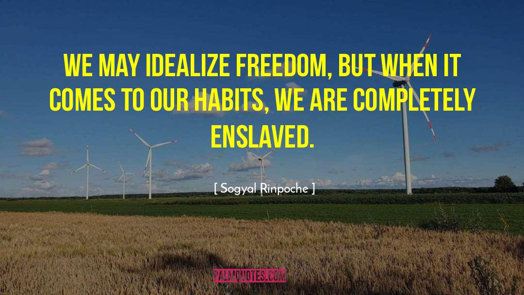 Sogyal Rinpoche Quotes: We may idealize freedom, but