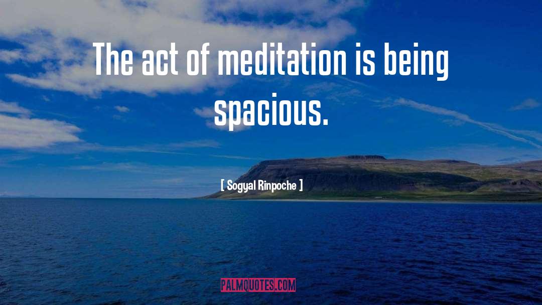 Sogyal Rinpoche Quotes: The act of meditation is