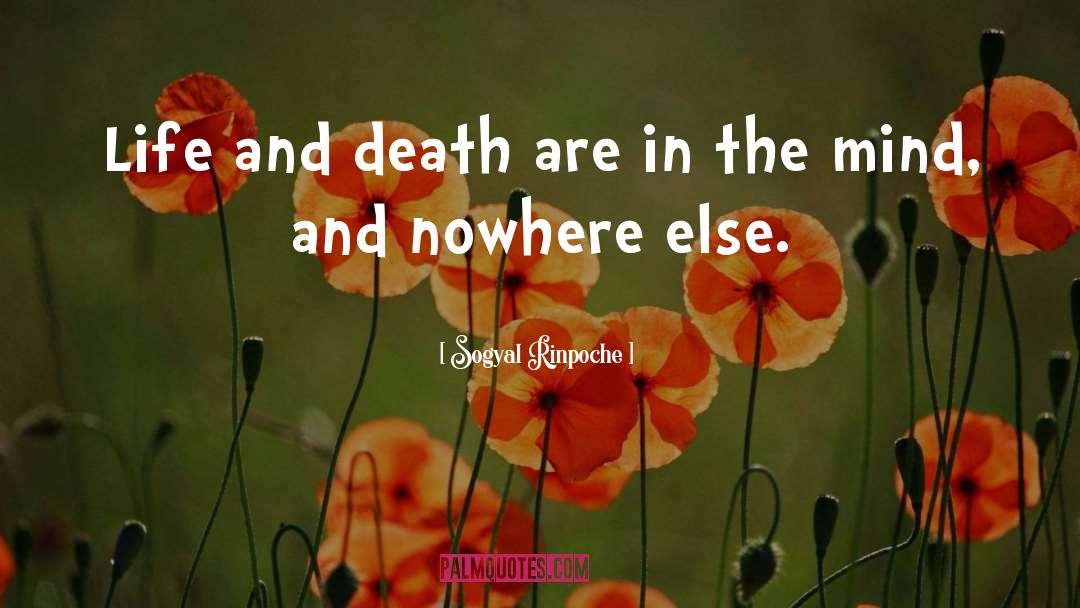 Sogyal Rinpoche Quotes: Life and death are in