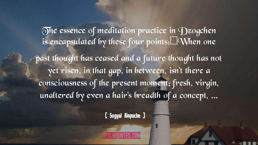 Sogyal Rinpoche Quotes: The essence of meditation practice