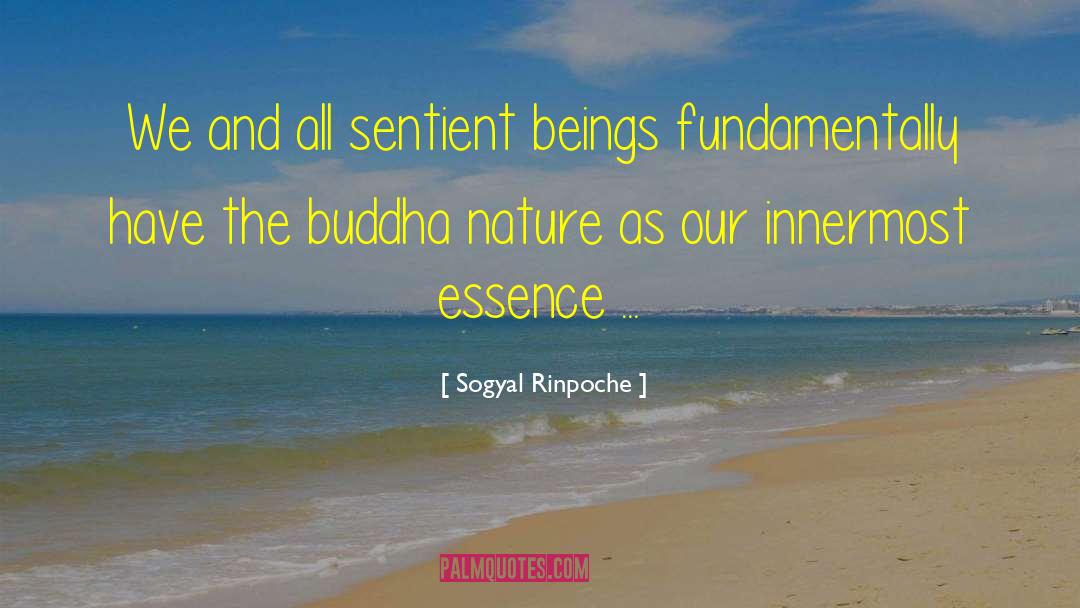 Sogyal Rinpoche Quotes: We and all sentient beings