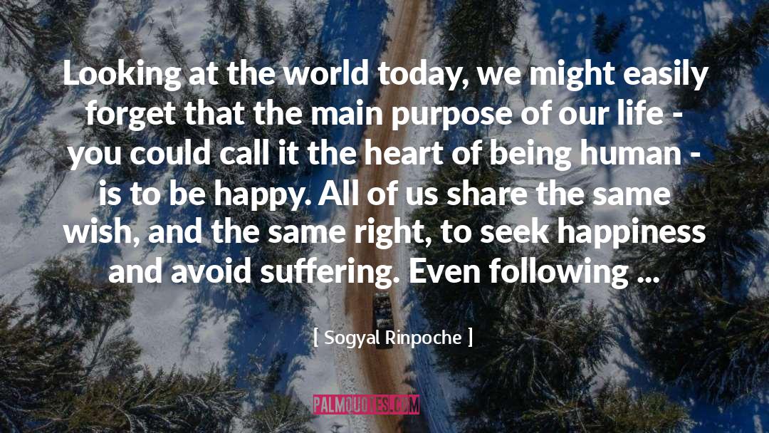 Sogyal Rinpoche Quotes: Looking at the world today,