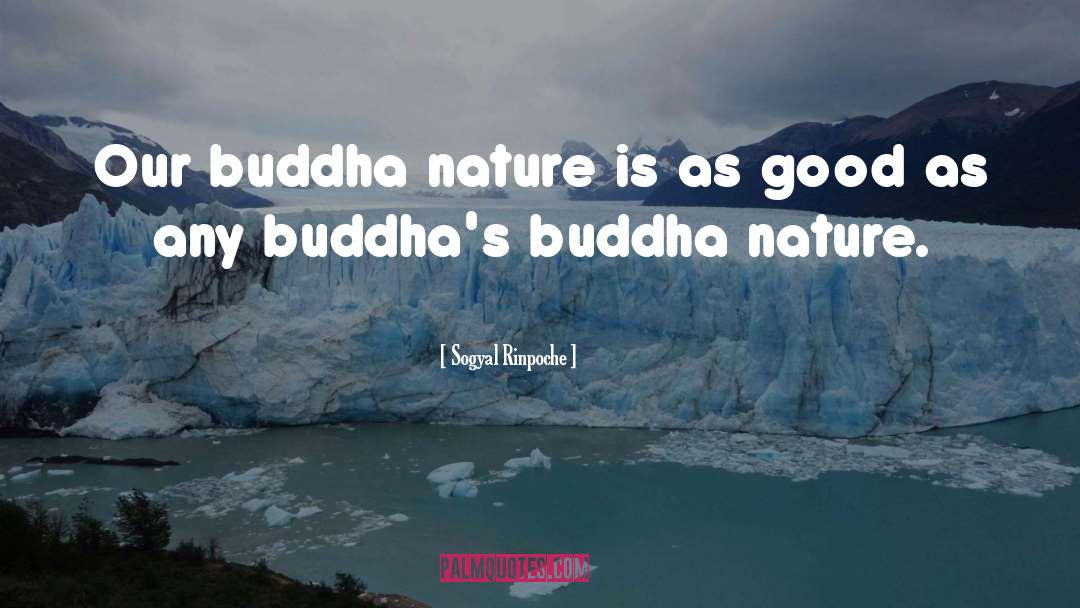 Sogyal Rinpoche Quotes: Our buddha nature is as