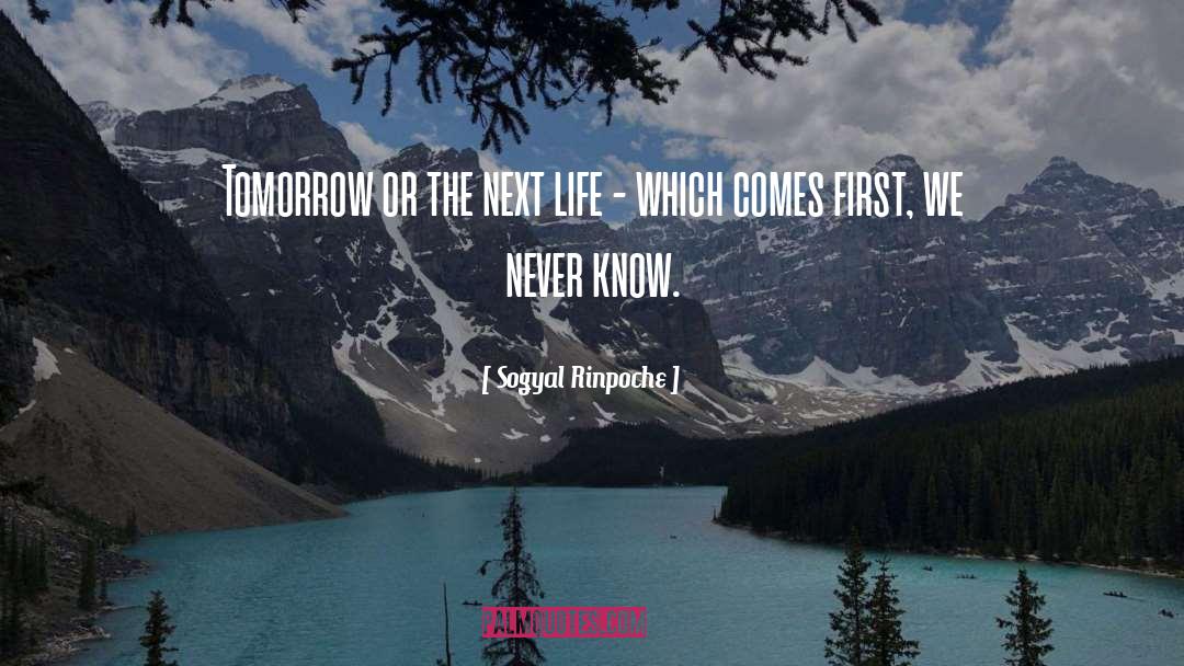 Sogyal Rinpoche Quotes: Tomorrow or the next life