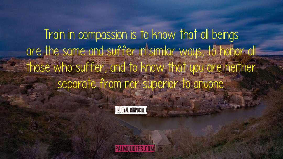 Sogyal Rinpoche Quotes: Train in compassion is to