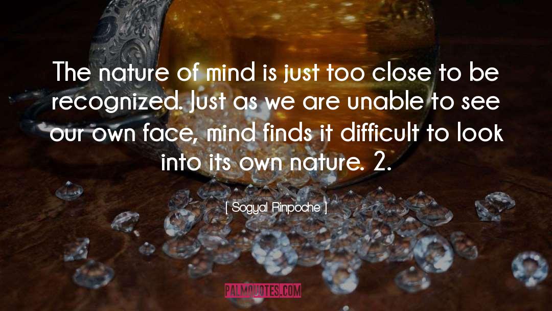 Sogyal Rinpoche Quotes: The nature of mind is