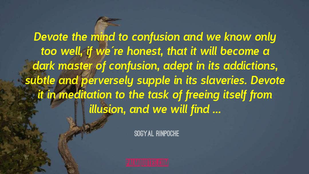 Sogyal Rinpoche Quotes: Devote the mind to confusion