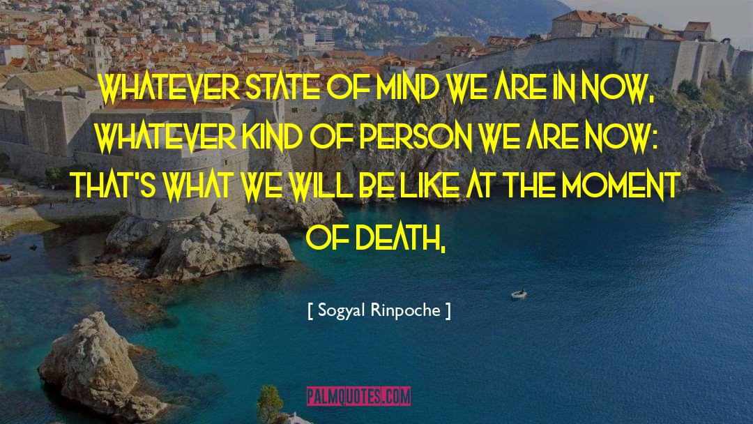 Sogyal Rinpoche Quotes: Whatever state of mind we