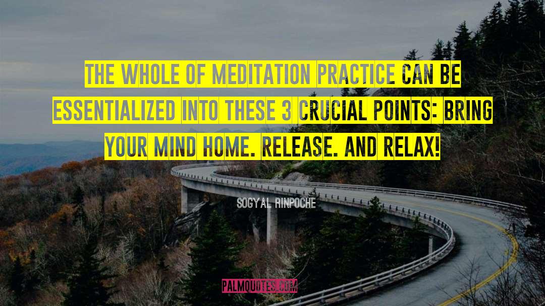 Sogyal Rinpoche Quotes: The whole of meditation practice