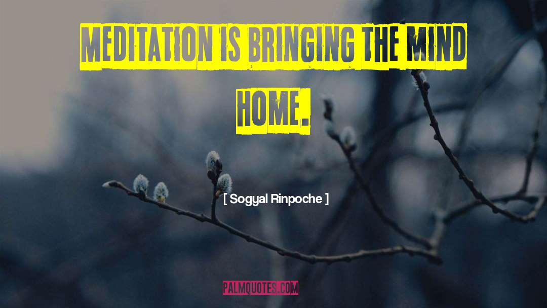 Sogyal Rinpoche Quotes: Meditation is bringing the mind