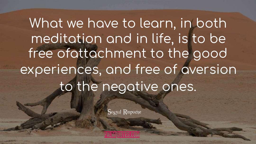 Sogyal Rinpoche Quotes: What we have to learn,
