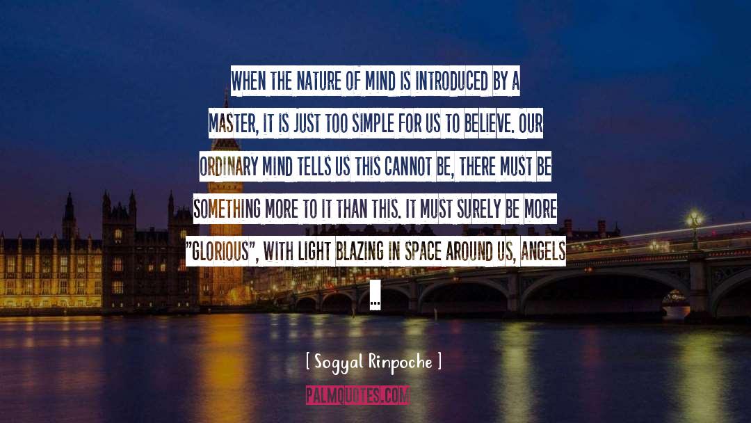 Sogyal Rinpoche Quotes: When the nature of mind