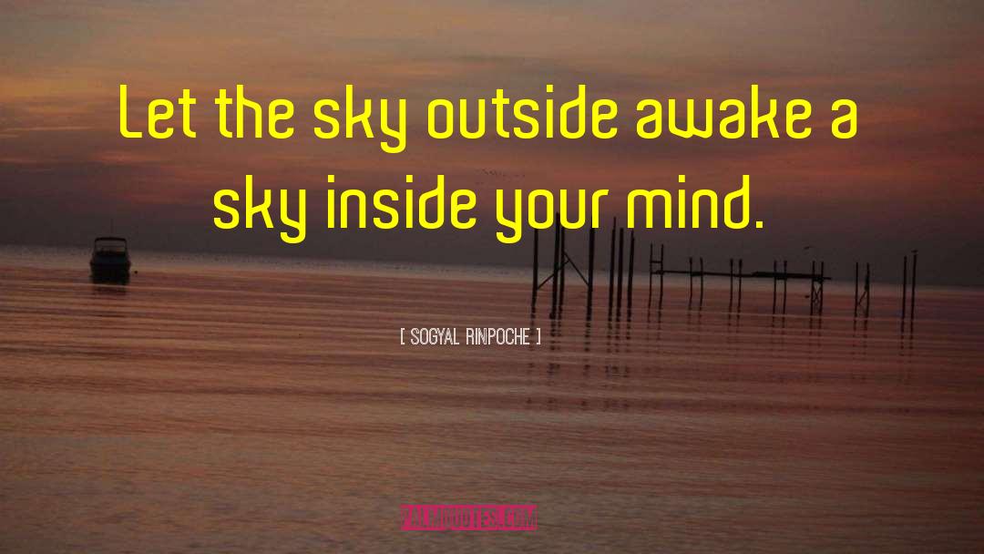 Sogyal Rinpoche Quotes: Let the sky outside awake