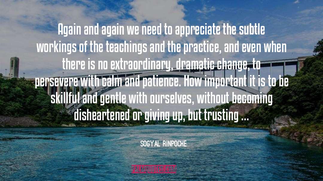 Sogyal Rinpoche Quotes: Again and again we need