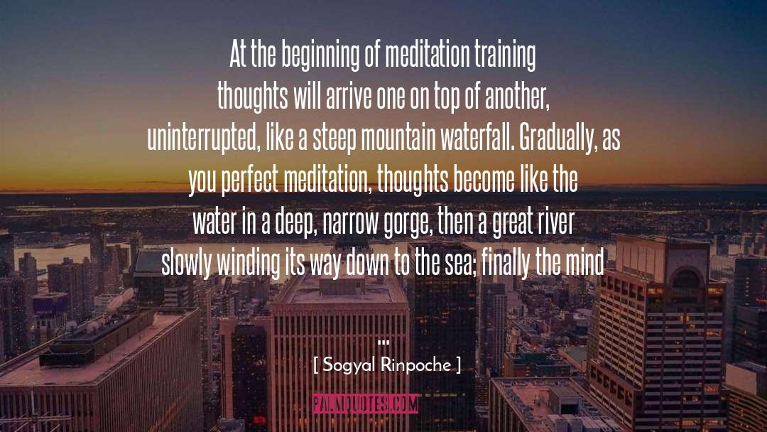 Sogyal Rinpoche Quotes: At the beginning of meditation