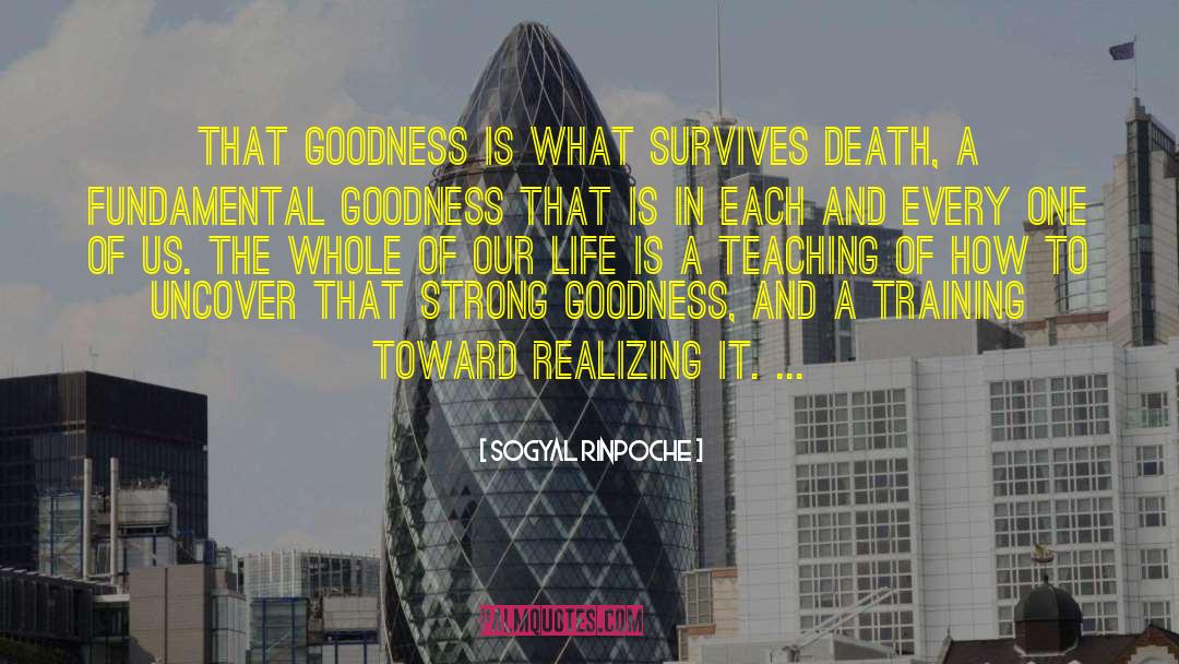 Sogyal Rinpoche Quotes: That goodness is what survives