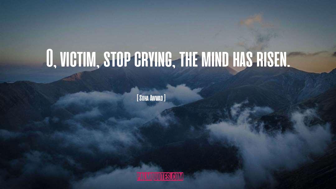 Soha Awwad Quotes: O, victim, stop crying, the