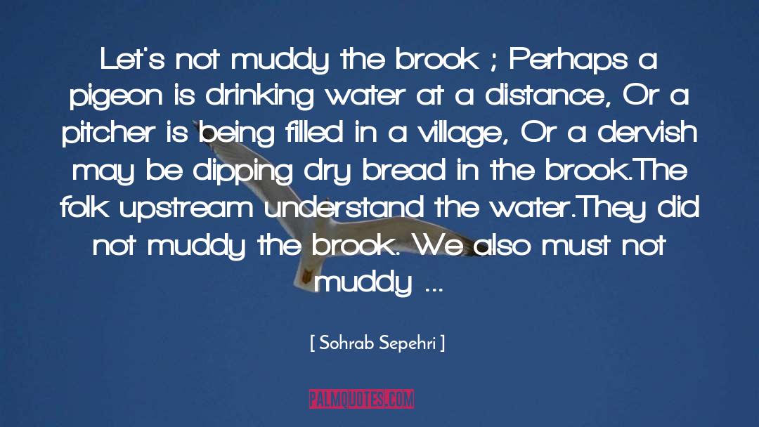 Sohrab Sepehri Quotes: Let's not muddy the brook