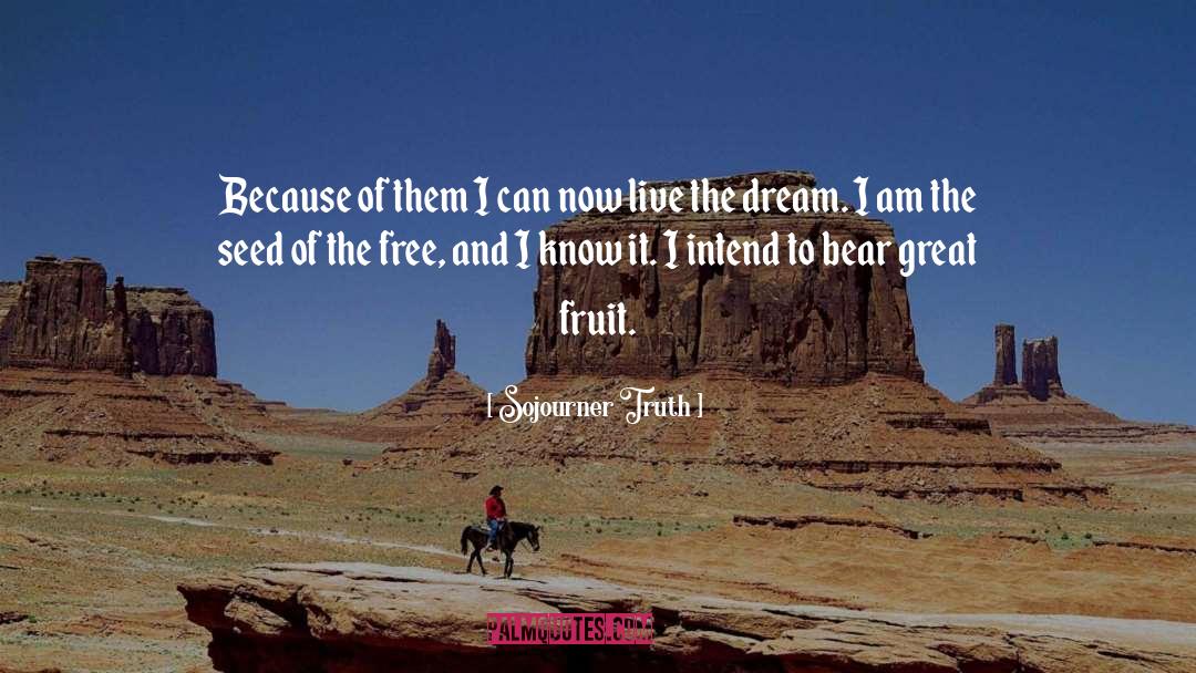 Sojourner Truth Quotes: Because of them I can