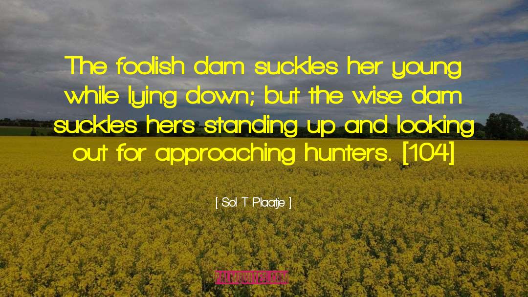Sol T. Plaatje Quotes: The foolish dam suckles her