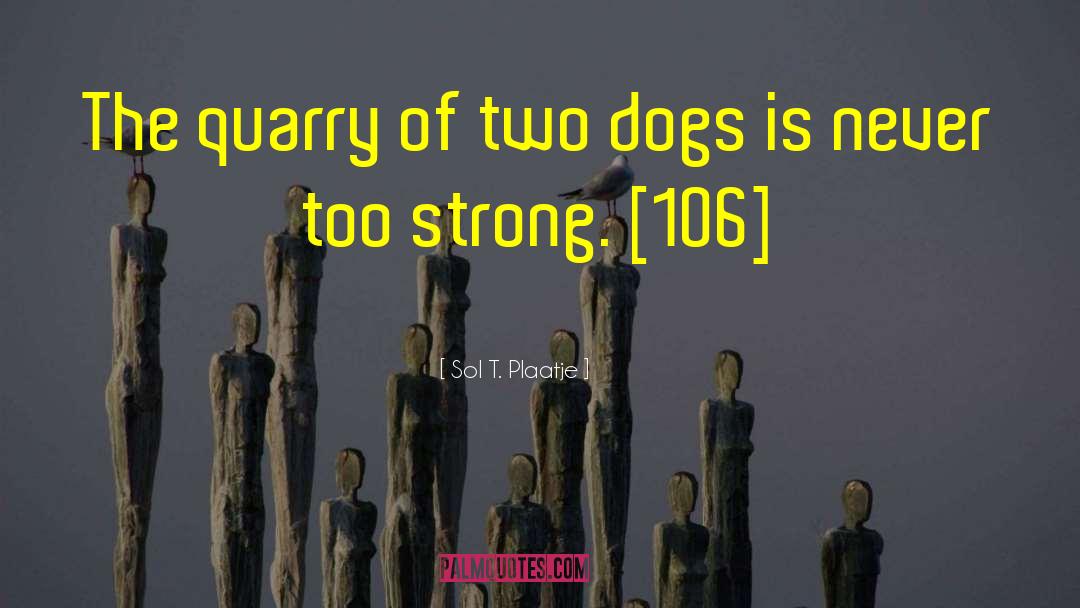 Sol T. Plaatje Quotes: The quarry of two dogs