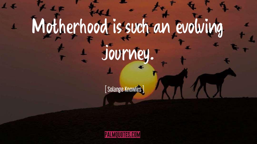 Solange Knowles Quotes: Motherhood is such an evolving