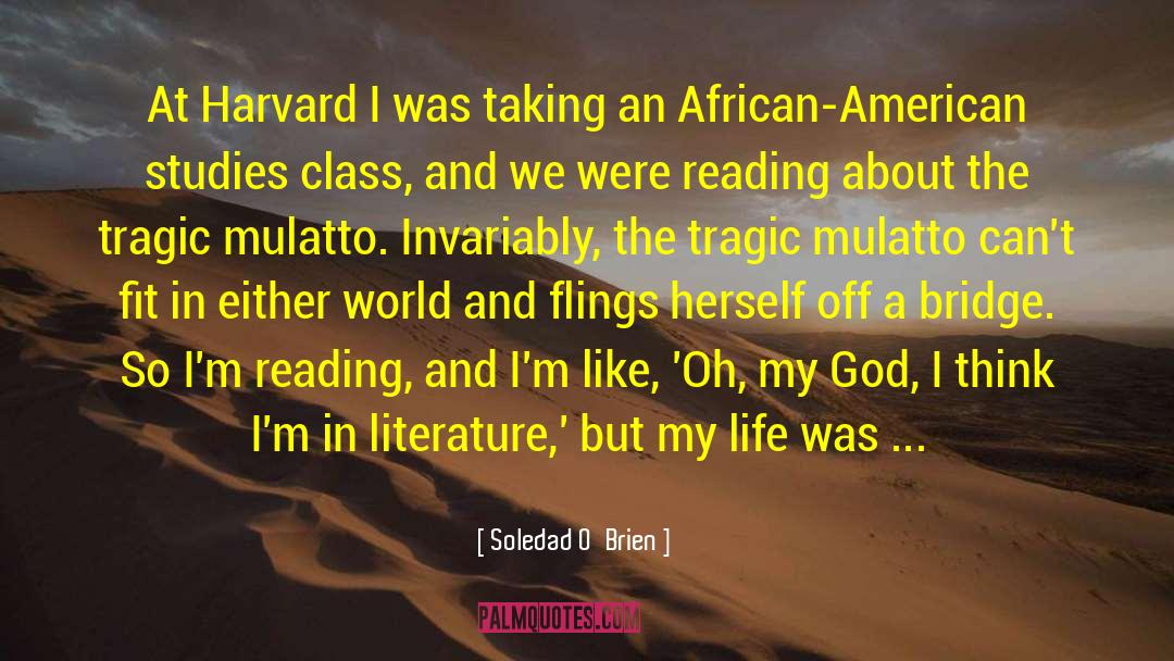 Soledad O'Brien Quotes: At Harvard I was taking