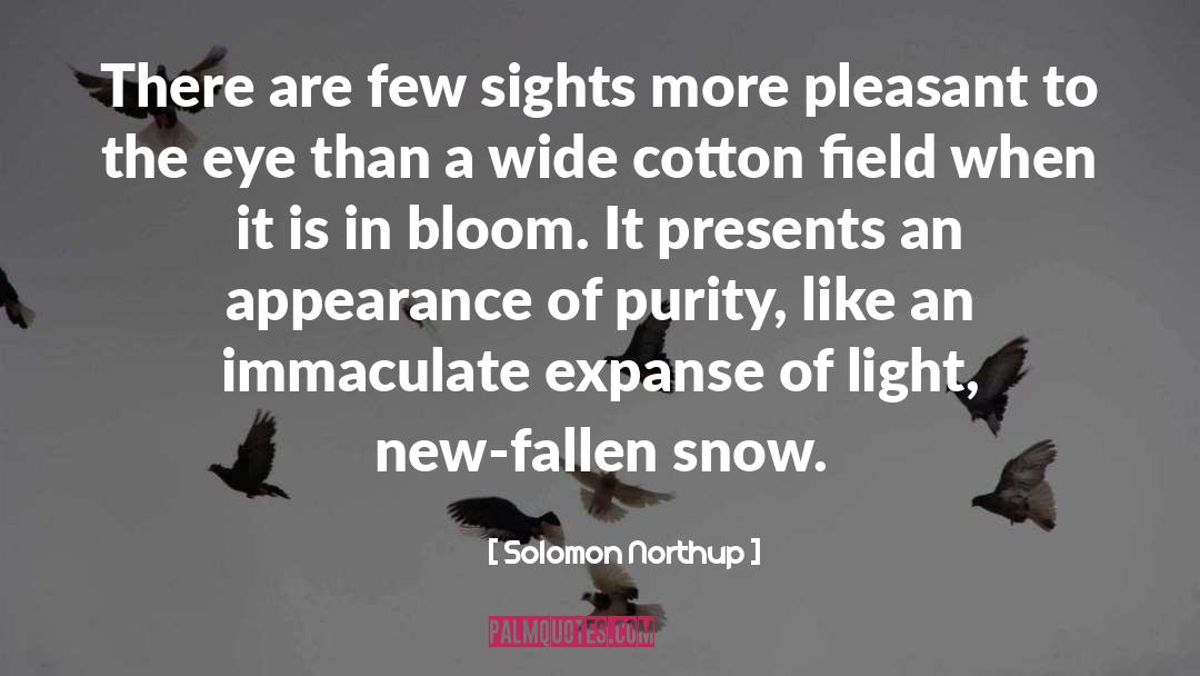 Solomon Northup Quotes: There are few sights more