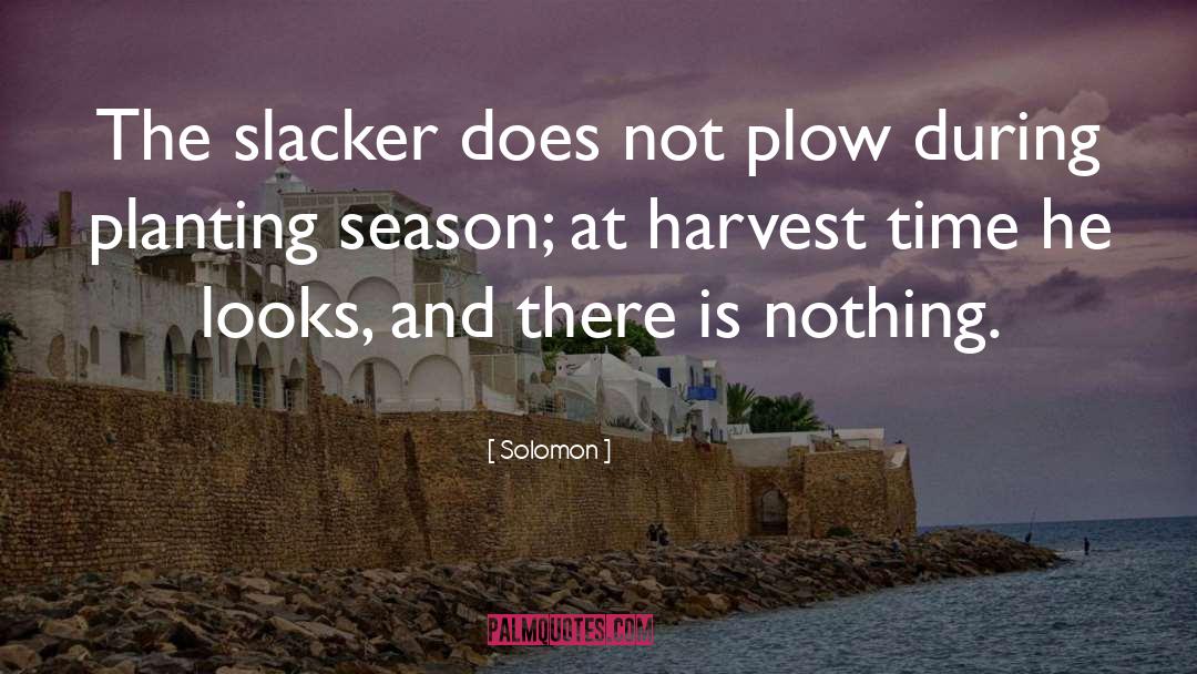 Solomon Quotes: The slacker does not plow