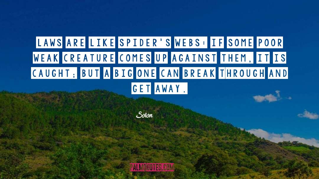 Solon Quotes: Laws are like spider's webs: