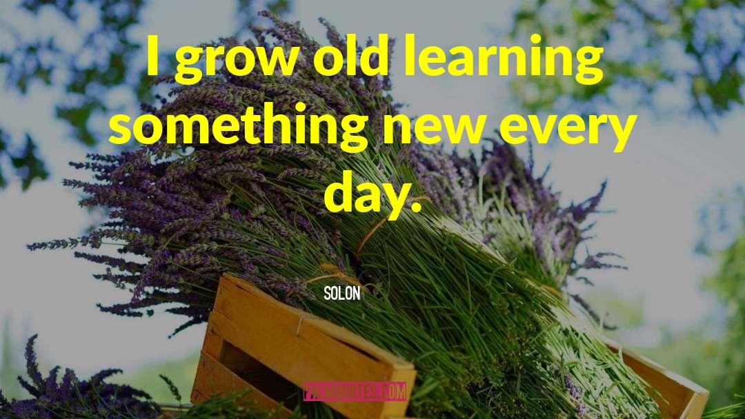 Solon Quotes: I grow old learning something