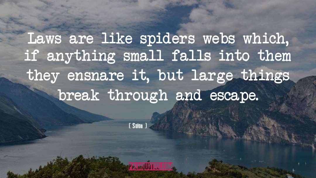Solon Quotes: Laws are like spiders webs