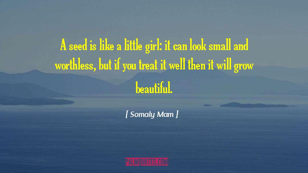 Somaly Mam Quotes: A seed is like a