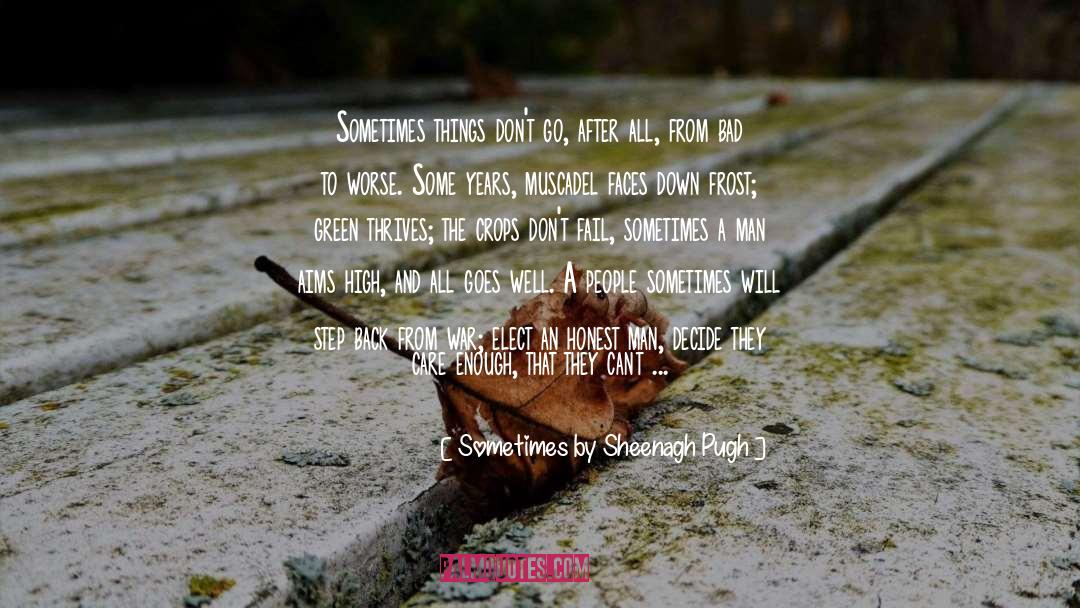 Sometimes By Sheenagh Pugh Quotes: Sometimes things don't go, after