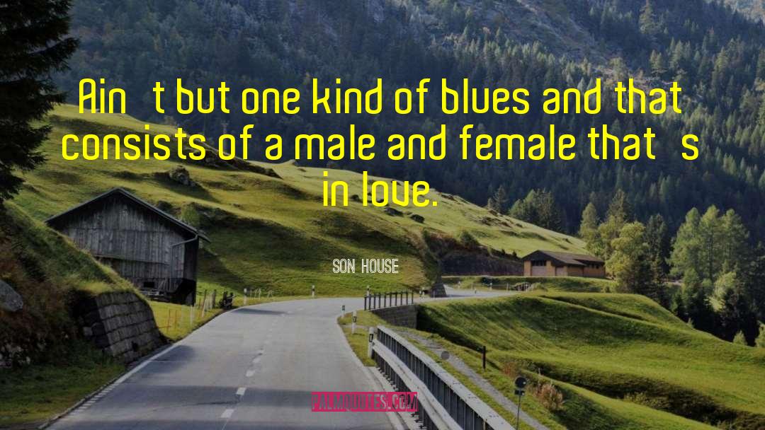 Son House Quotes: Ain't but one kind of