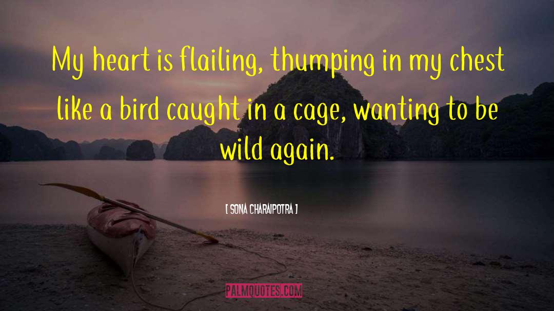 Sona Charaipotra Quotes: My heart is flailing, thumping