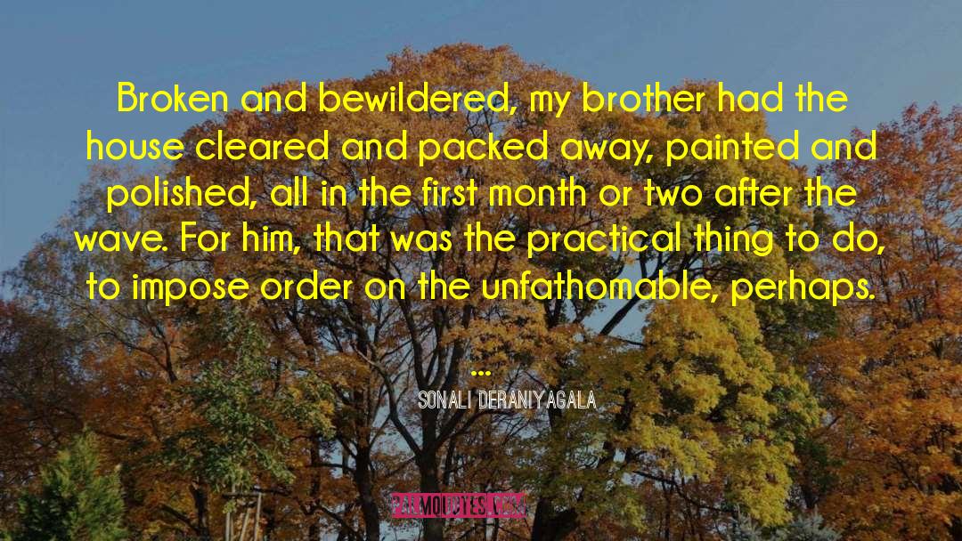 Sonali Deraniyagala Quotes: Broken and bewildered, my brother
